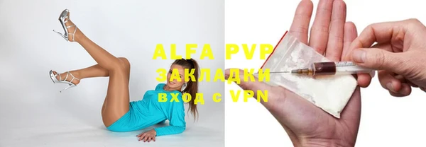 стаф Абинск