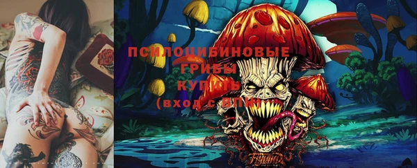 тгк Алексеевка