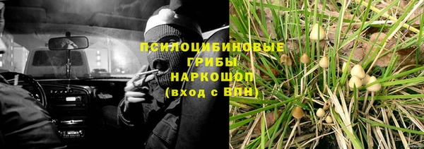 бошки Алзамай